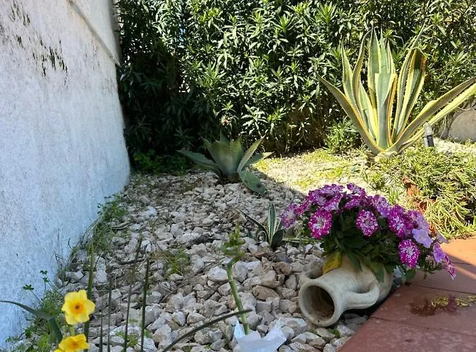 Fiorenza 别墅 卡斯泰拉马莱